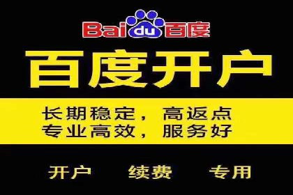 SEM推广实战：成功案例解读与策略调整